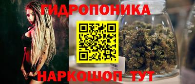 mdpv Ярославль