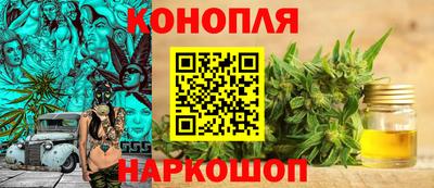mdpv Ярославль