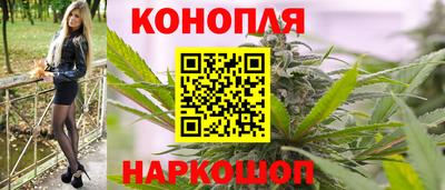 mdpv Ярославль