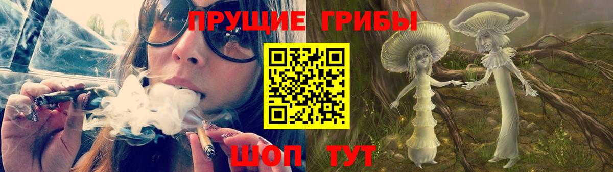 Дальнегорск  магазин    Вход с VPN  Псилоцибиновые грибы Magic Shrooms 